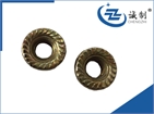 DIN 6923 Hexagon nuts with flange YZP